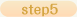 step5
