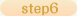 step6