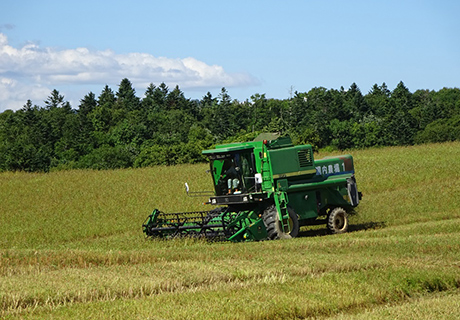 合同会社湯内農場イメージ