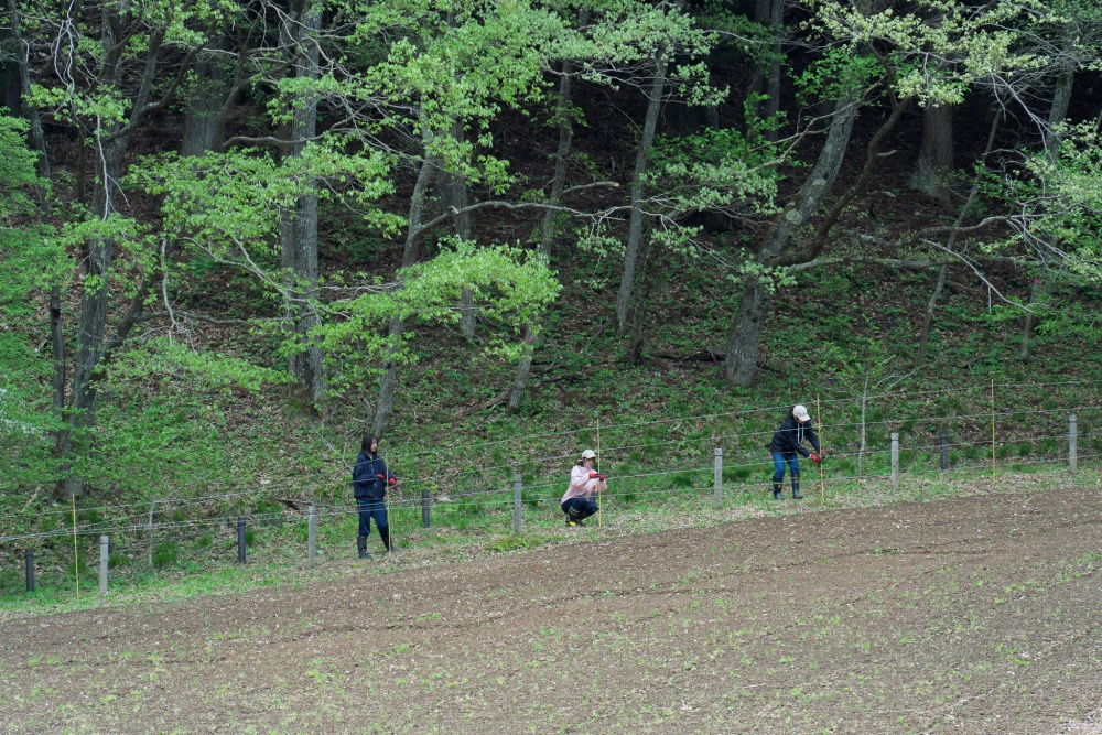 blog_20260602_05.jpg