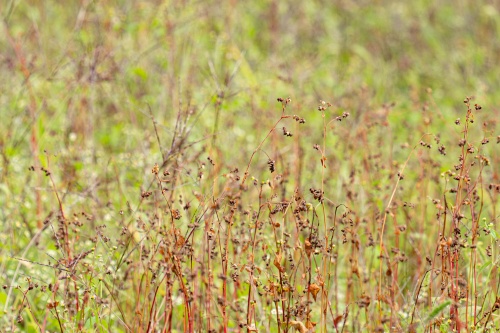 blog_20261015_02.jpg