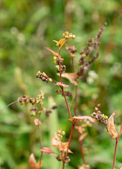 blog_20261015_03.jpg