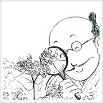 花にまつわるエトセトラ イラスト