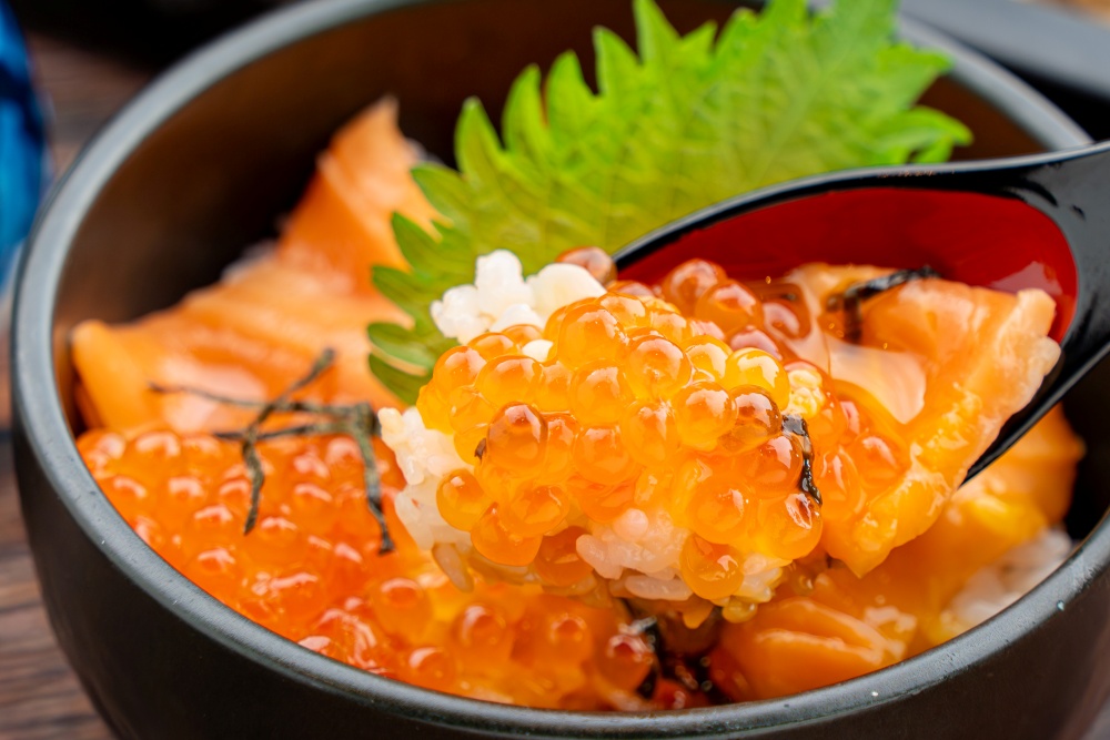 fb_miyota_2026512_ikurasalmon_03.jpg
