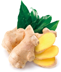 anti-aging_ginger
